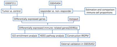 An Immune-Related Gene Signature for Predicting Neoadjuvant Chemoradiotherapy Efficacy in Rectal Carcinoma